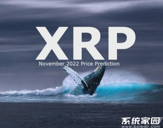 XRP钱包使用教程