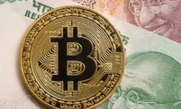 STA币发行量与流通量