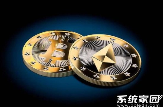 星币钱包注册流程图示
