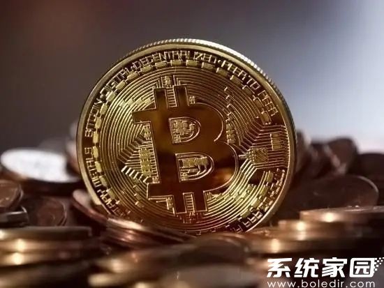 Avive平台交易系统界面示意图