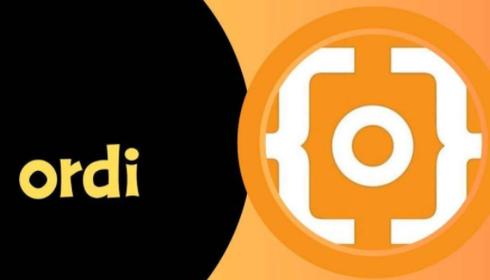 ORDI币发行价解析与市场价值评估