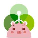 CGPay钱包2024版功能特性详解