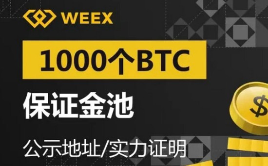 WEEX交易所提现操作界面示意图
