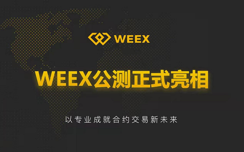 WEEX交易所官网优势解析与安全交易指南