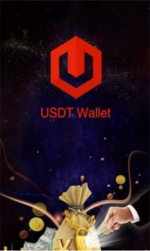 USDT钱包多链支持