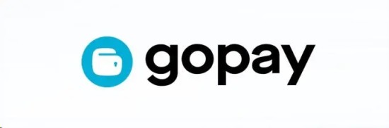 Gopay钱包安全性解析与功能评测
