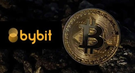 Bybit交易所认证流程操作指南