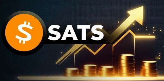 sats币投资价值与未来潜力分析