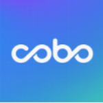 Cobo钱包安全存储与多币种管理方案