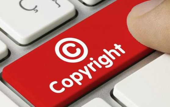 数字水印功能解析与应用场景