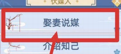 婚配系统操作界面