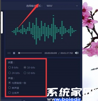 格式选择界面