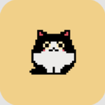 铲屎官与萌猫的治愈时光