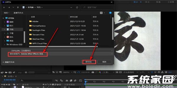AE格式选择界面示意图