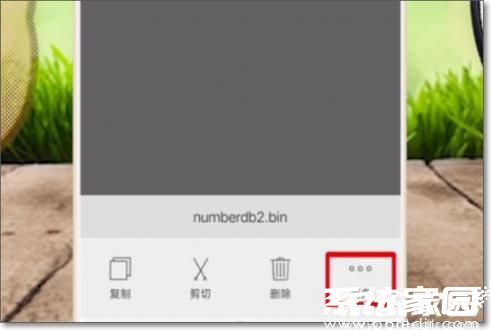 菜单展开示意图