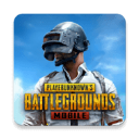 PUBG国际服2023资源畅享v2.8.0 无限钞票版