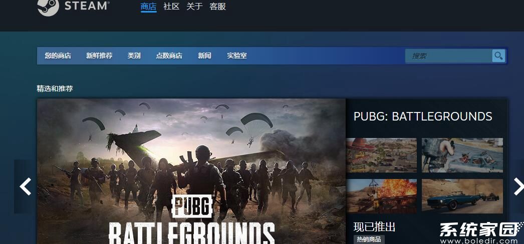 Steam平台界面展示