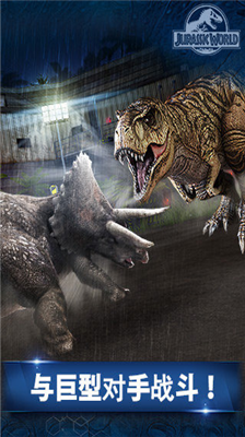 u4f8fu7f57u7eaau514du8d39u7248u65e0u9650u91d1u5e01u7248