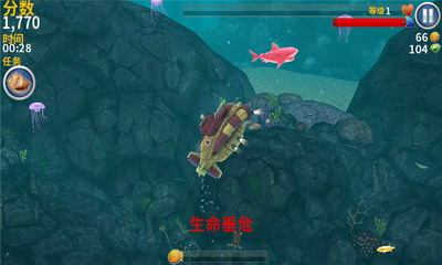 u9965u997fu9ca8u8fdbu5316u5185u7f6eu83dcu5355