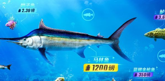 欢乐钓鱼大师鱼骨头高效刷取方法