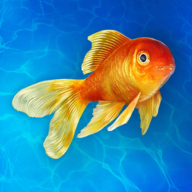 水族馆模拟器3D海洋自由经营v0.163 无限钞票版