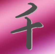 至尊种子搜索神器免费版全网资源整合