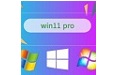 win11 pro