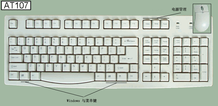 检测过程示意图