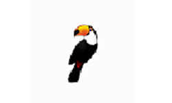 Toucan