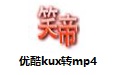 优酷kux格式转换器