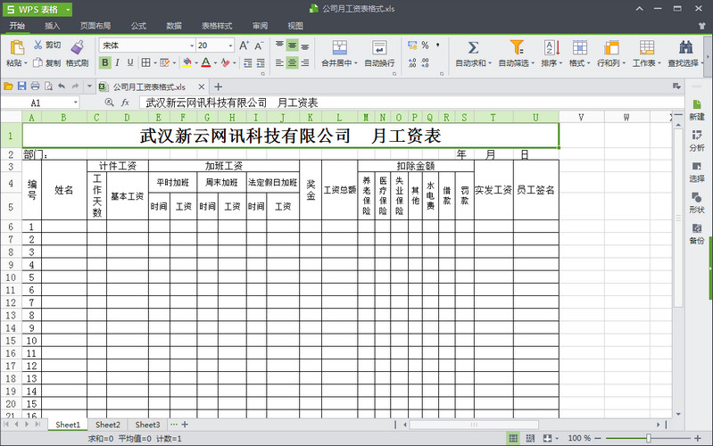 工资表截图