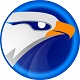 EagleGet猎鹰中文版高速下载工具